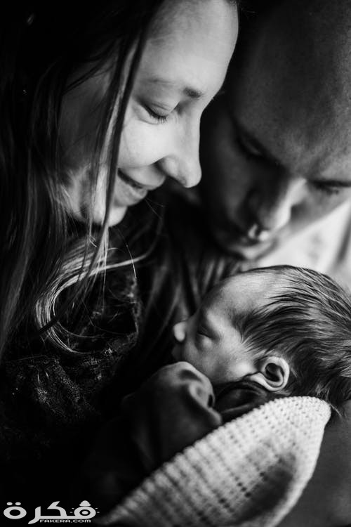 pexels photo 3673117