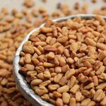 تفسير رؤية حلم الحلبة في المنام لابن سيرين