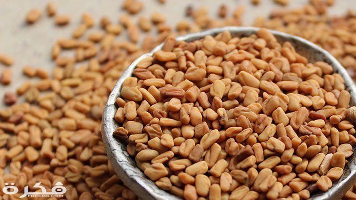 فوائد الحلبة للأطفال الصغار وأضرارها