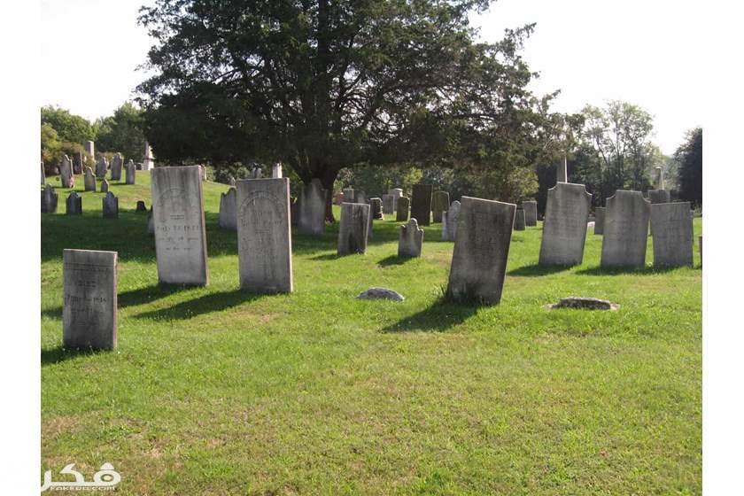 1220182216546478256988