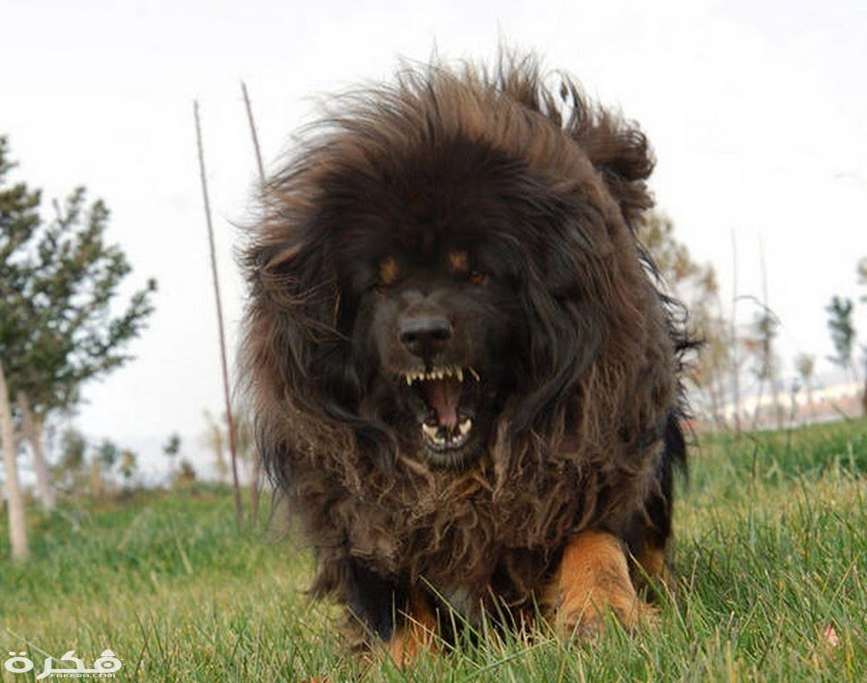 15c7178d9ac09e11bcfc0653bd1bbdf2