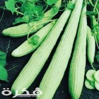 33838318 204054690216338 7134147992432410624 n