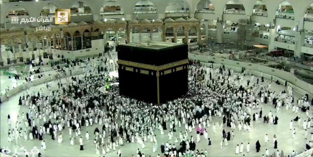 IMG ٢٠٢٠٠٣٢٢ ١٥١٧٢٨