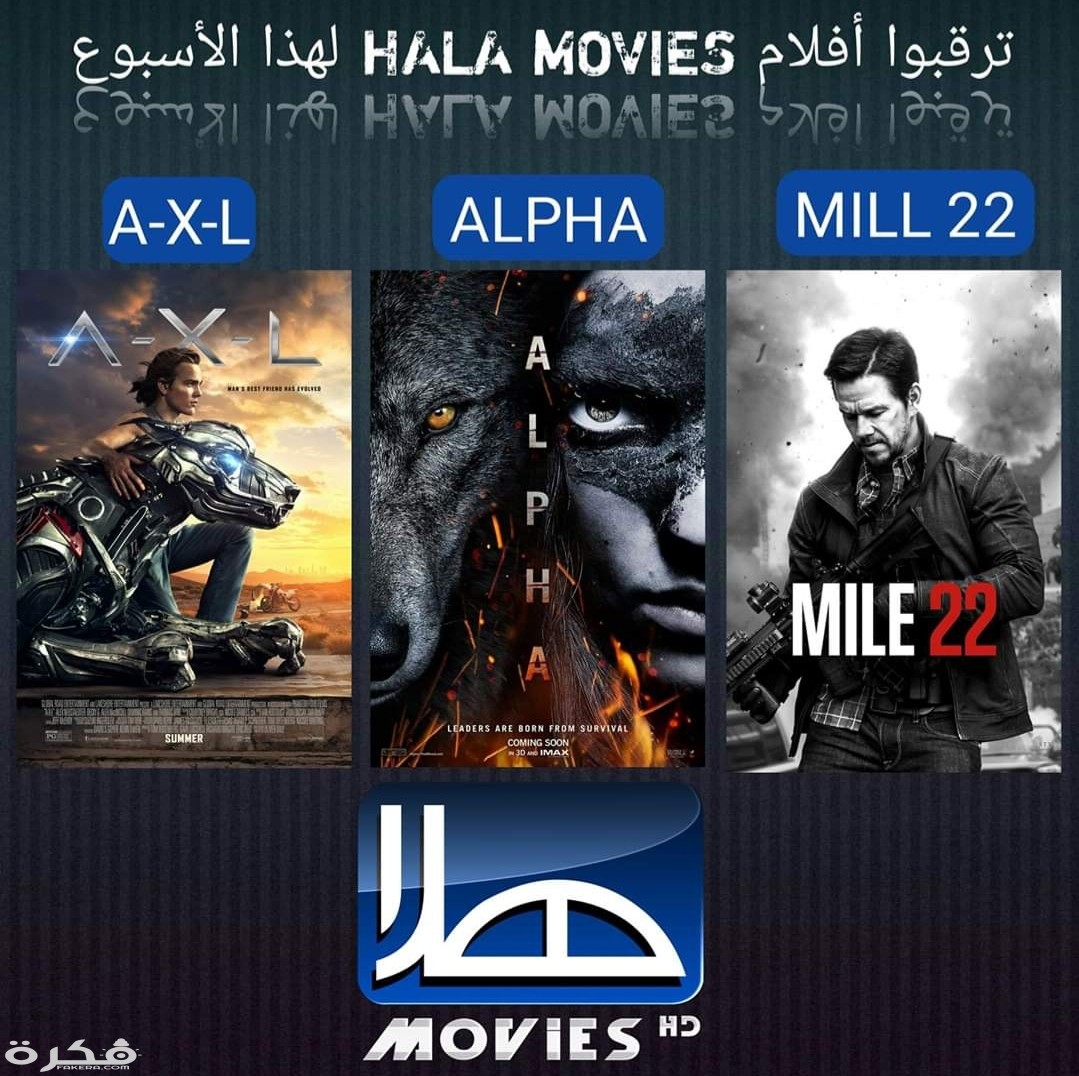 IMG ٢٠٢٠٠٣٣١ ١٤٠٤٠٢