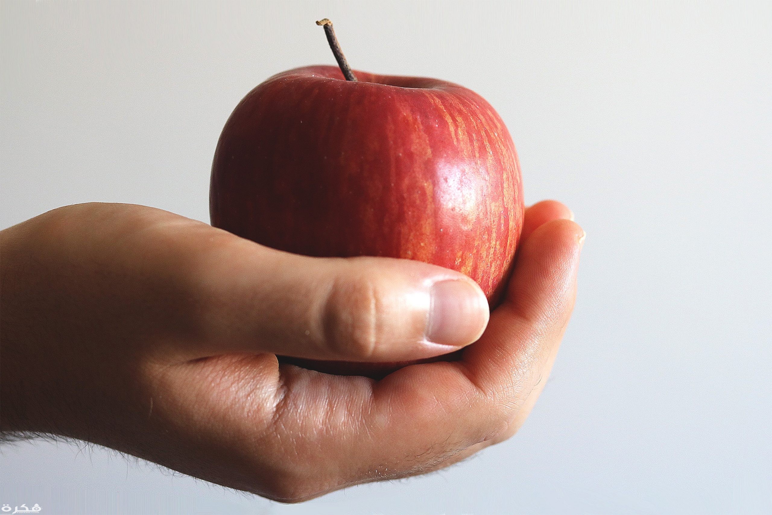 close up photo of person holding red apple 1451649 scaled