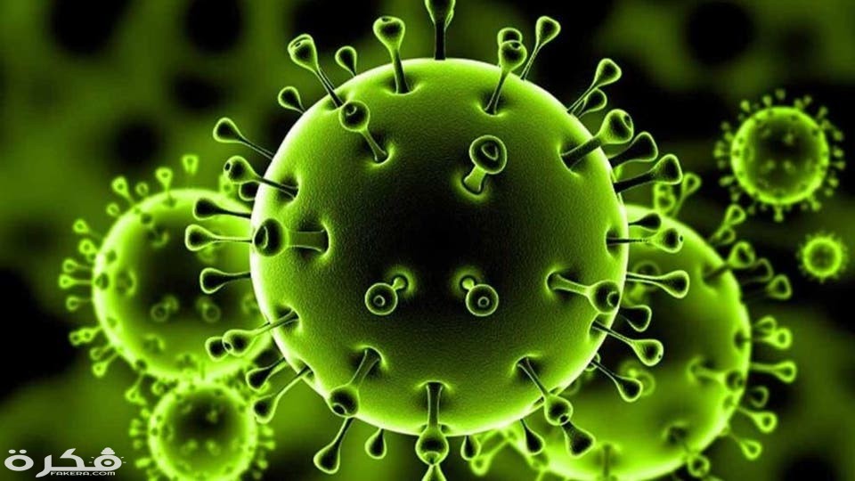 e287b0fe 0940 46f4 b46d