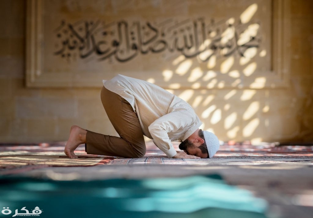 imgonline com ua CompressToSize nVJWYUbzrt