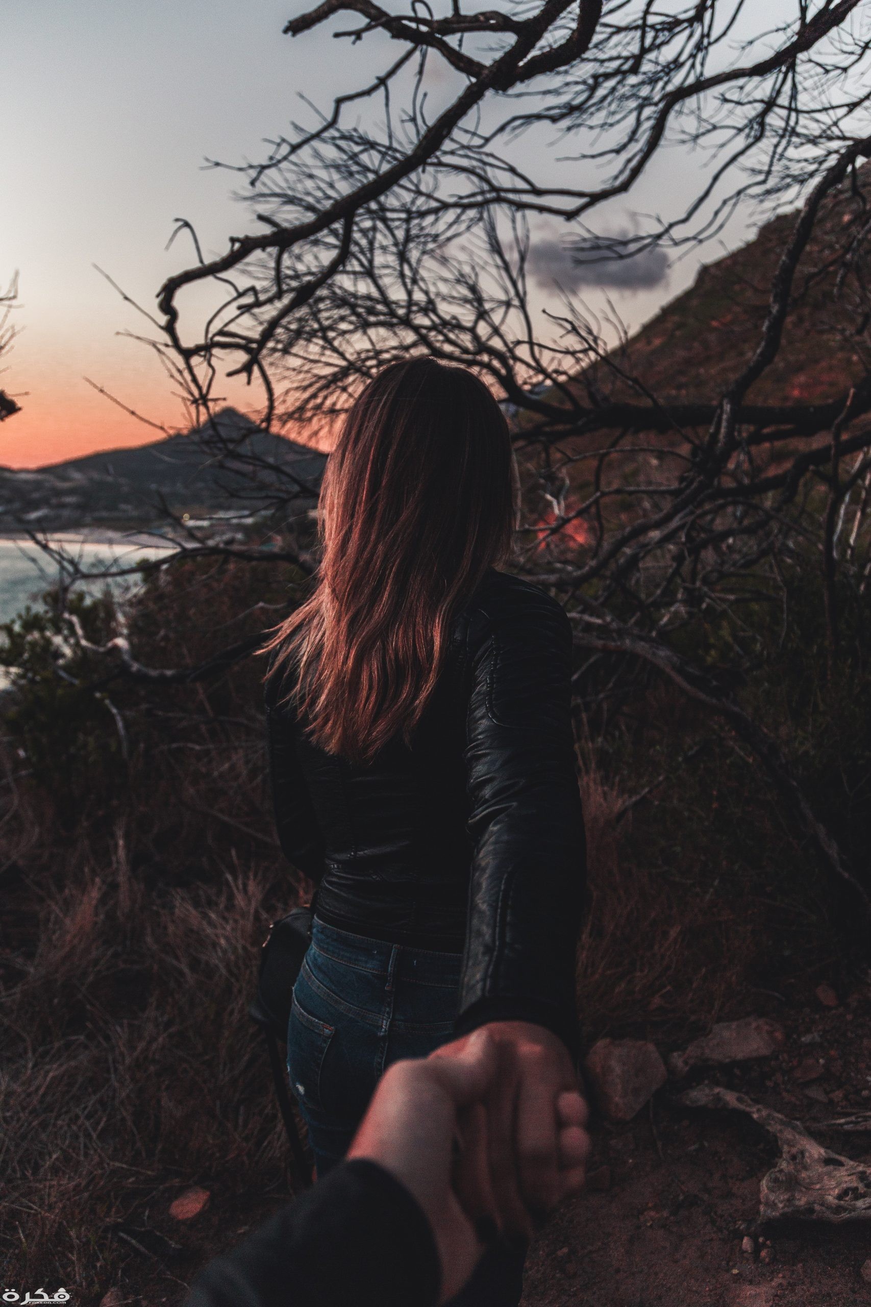 person holding woman s hand 2379178 scaled