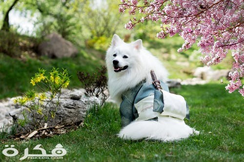 pexels photo 1198802