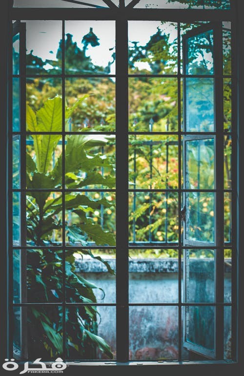 تفسير حلم الشباك المغلق في المنام