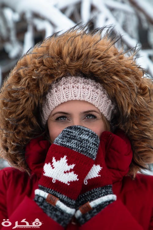 pexels photo 2698557