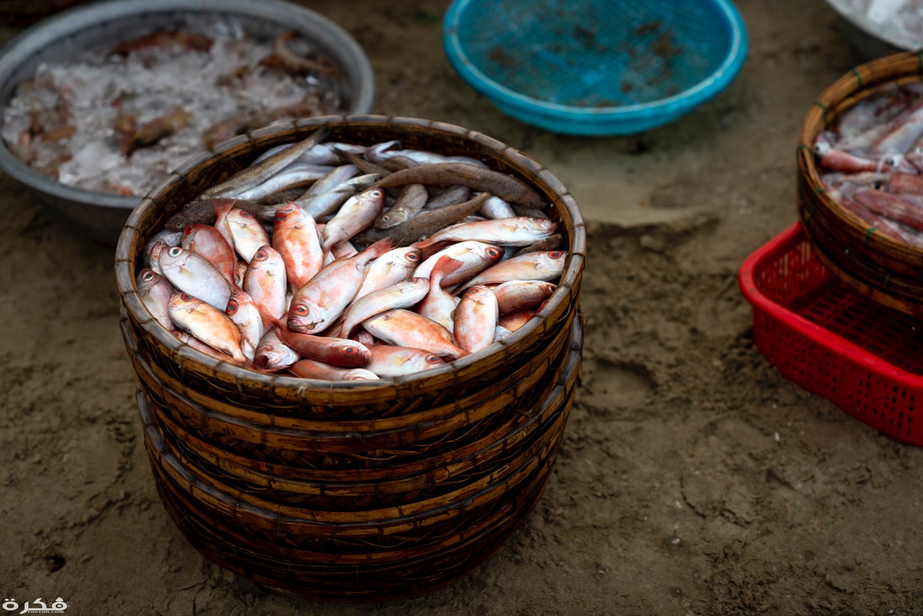 pexels photo 3871798