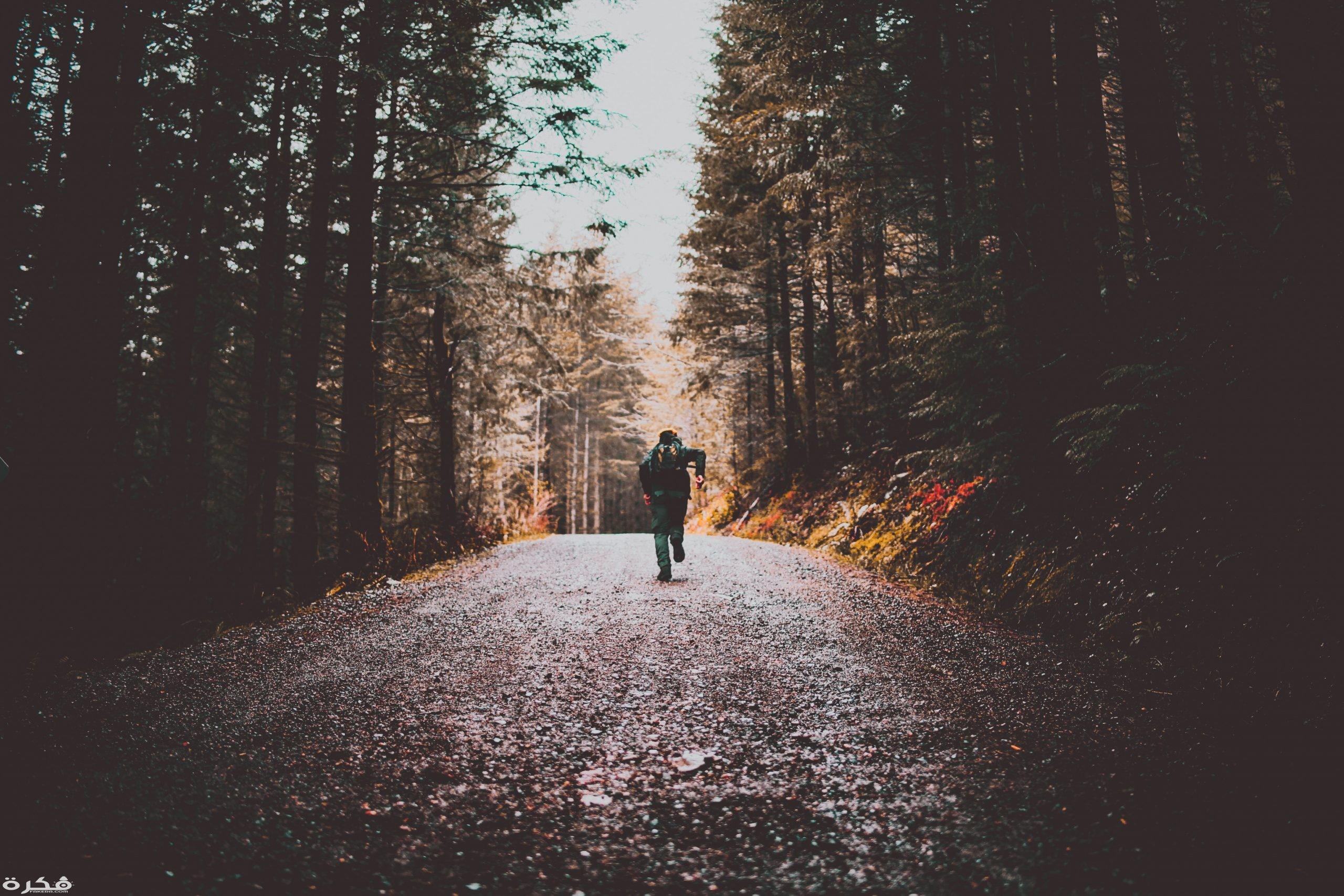 photo of person running on dirt road 1526790 scaled
