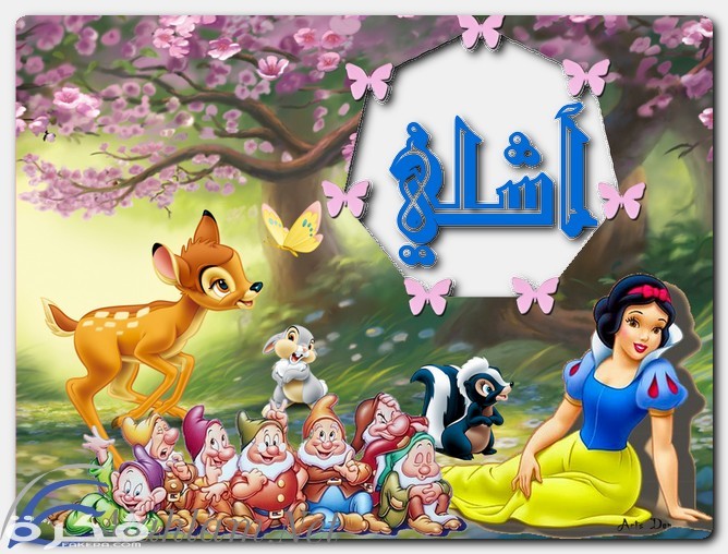 معنى اسم آشلي وشخصيتها وحكم التسمية في الاسلام 3 اسم آشلي1