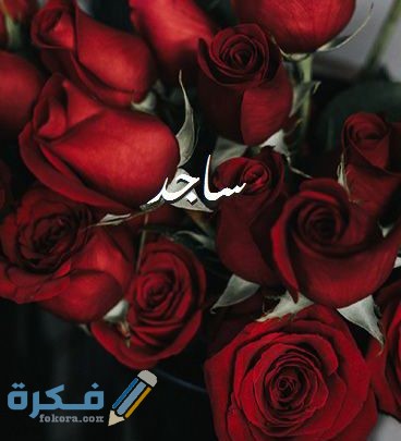 معنى اسم ساجد وشخصيته وحكم التسمية في الاسلام 2 اسم ساجد