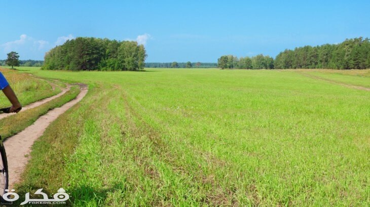 تفسير رؤية الارض الخضراء في الحلم ومعناه 3