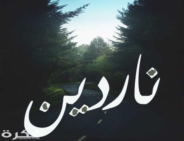 ناردين1 1