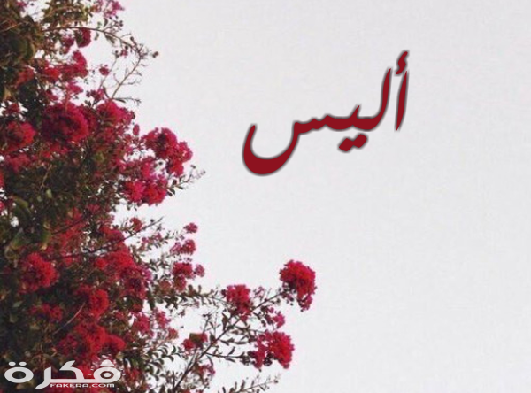 معنى اسم أليس وشخصيتها وحكم التسمية في الاسلام 1 18 أليس