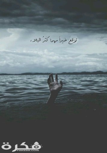 6754791d325a6c9b7c7077363a6f7c06e87e9aeer1 735 1057v2 00