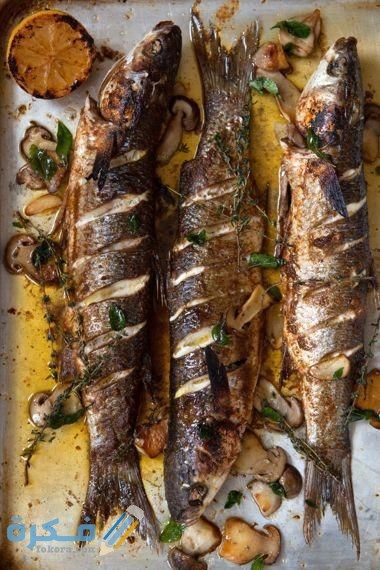 8a2970fd702a74378b2b5639c7dd2515 1