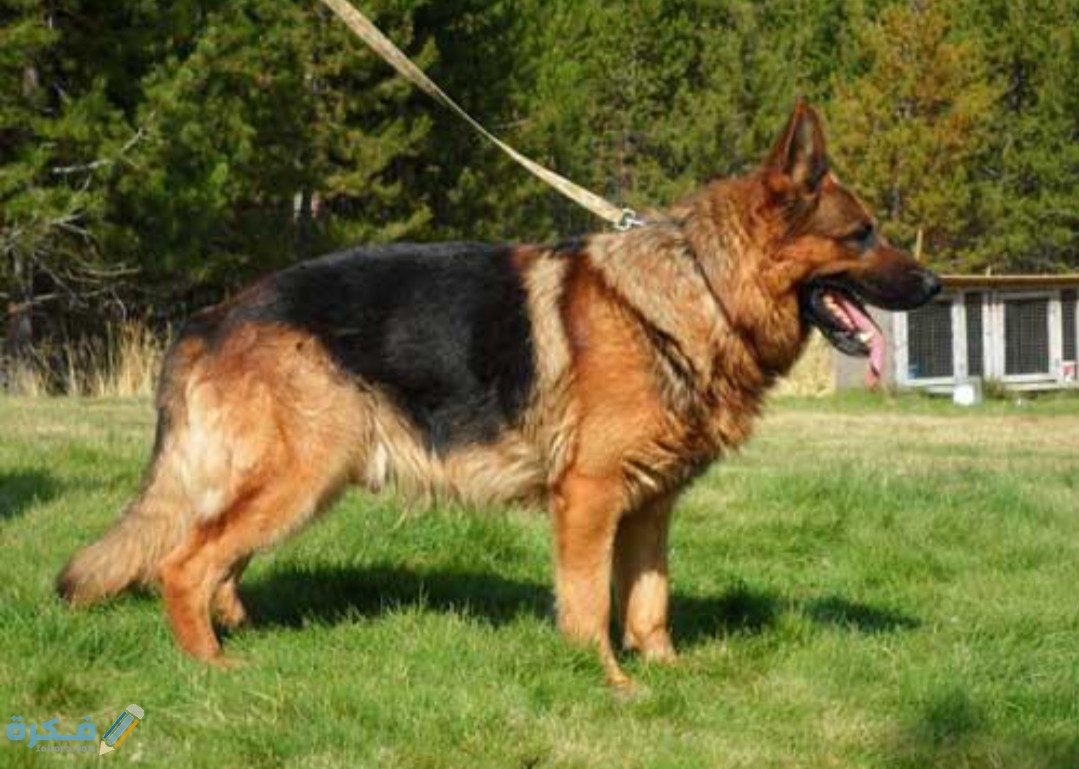 IMG ٢٠٢٠٠٤١٦ ٠٥٤٦٥٤