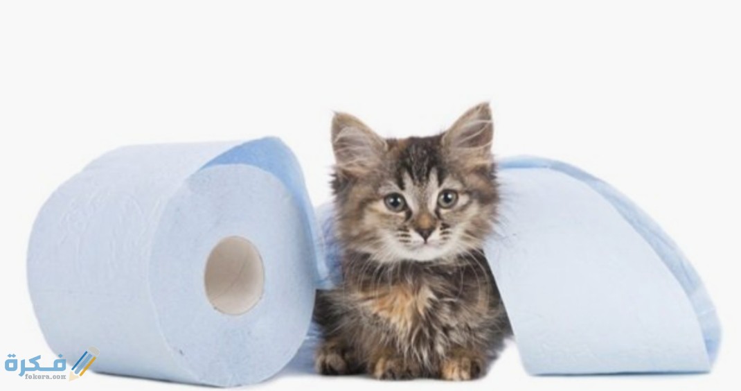 IMG ٢٠٢٠٠٤١٦ ٠٧٠٤٥٤