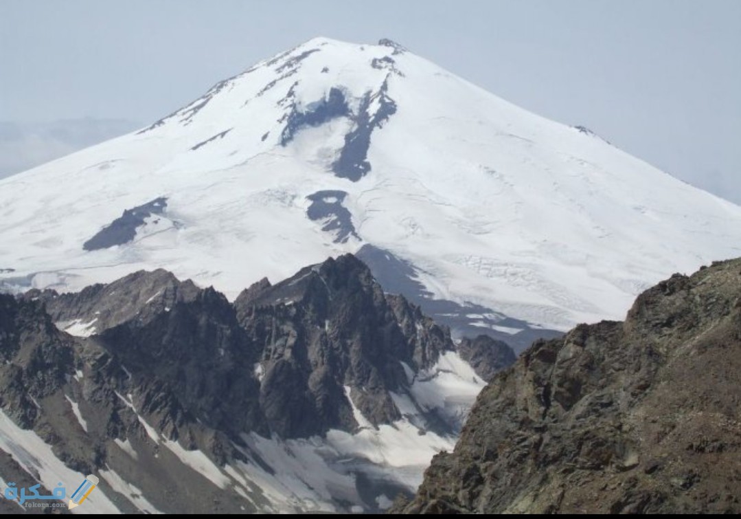 IMG ٢٠٢٠٠٤٢٤ ١٦١١١٠