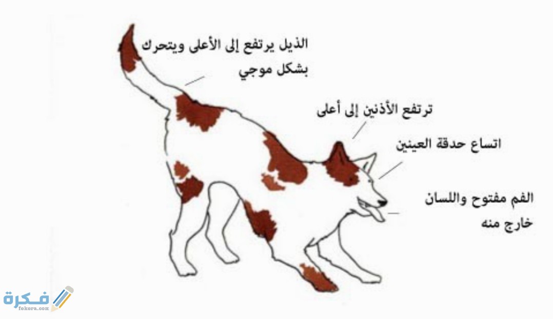 IMG ٢٠٢٠٠٤٢٦ ١٤٥١٤٧