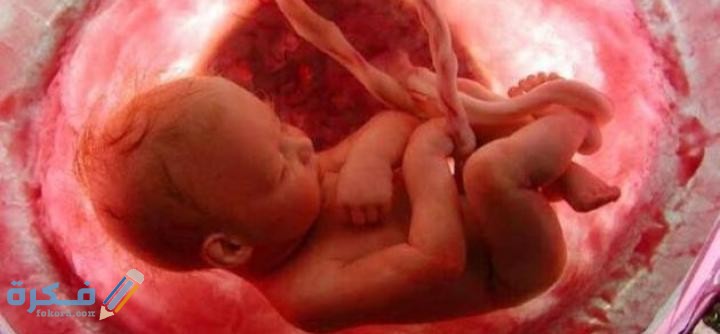 حلمت شي يتحرك في بطني مثل الجنين 3 index 7 1