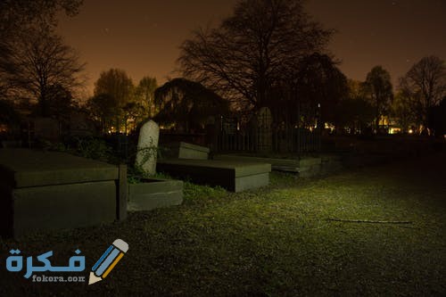 night dark halloween horror