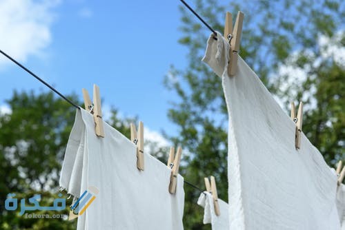 pexels photo 1122167