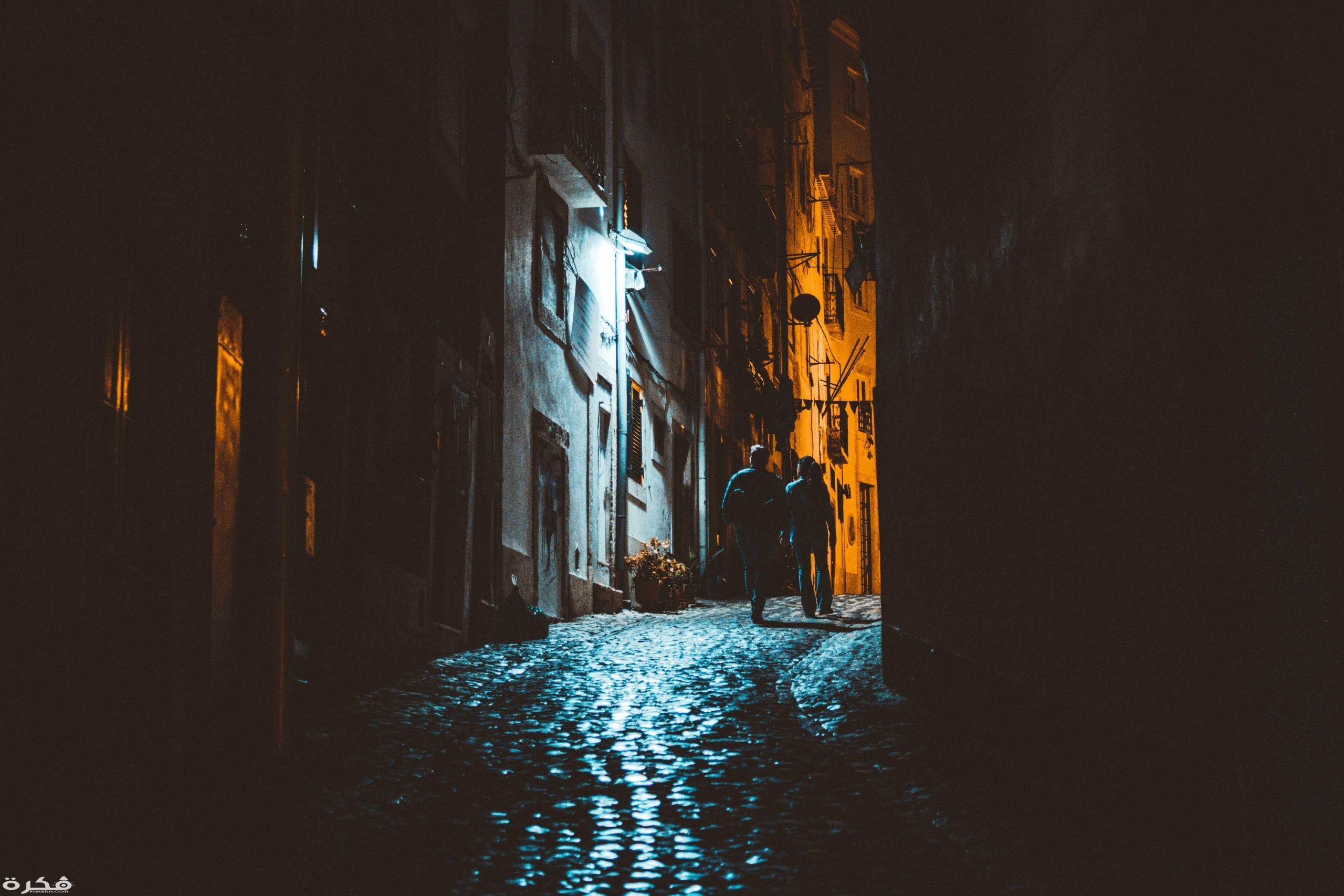 pexels photo 1545494 scaled