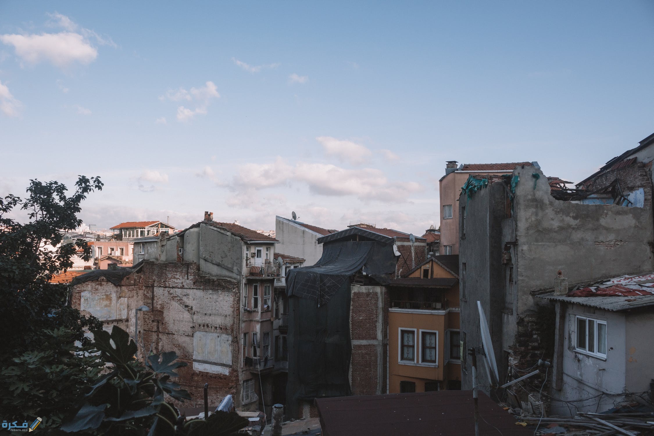 pexels photo 2079223