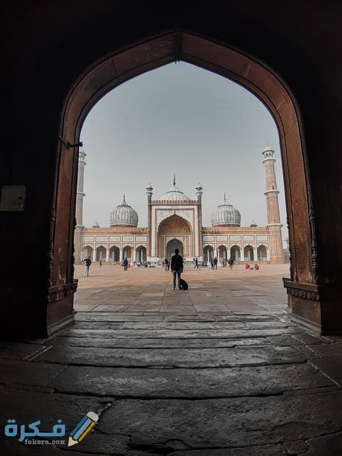 pexels photo 3624566