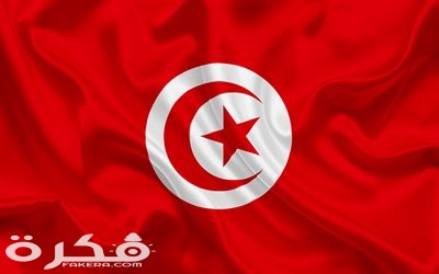 thumb tunisian flag tunisia africa flag of tunisia silk flag