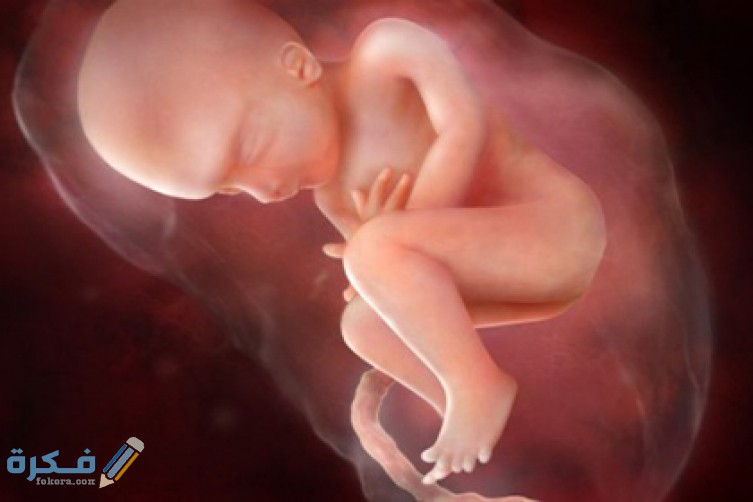 تفسير حلم الاجهاض او اسقاط الجنين في المنام