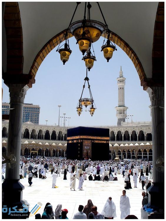 6862642dcbf2ae0d2275d3c326d00c38