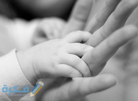 86984d1608546f189f65e26c4dda1e91