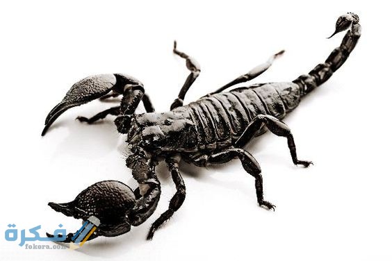 8b923e130995b6072c181853e793c5e2