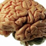 شرح خطوات قياس نسبة الذكاء