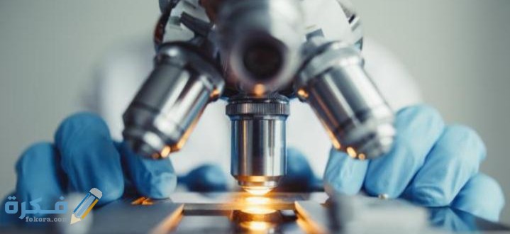 IMG ٢٠٢٠٠٥٠٣ ٢١٠٠٥٢