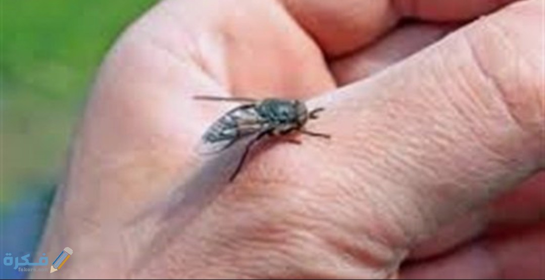 IMG ٢٠٢٠٠٥٠٤ ١٢٢٧٢٣