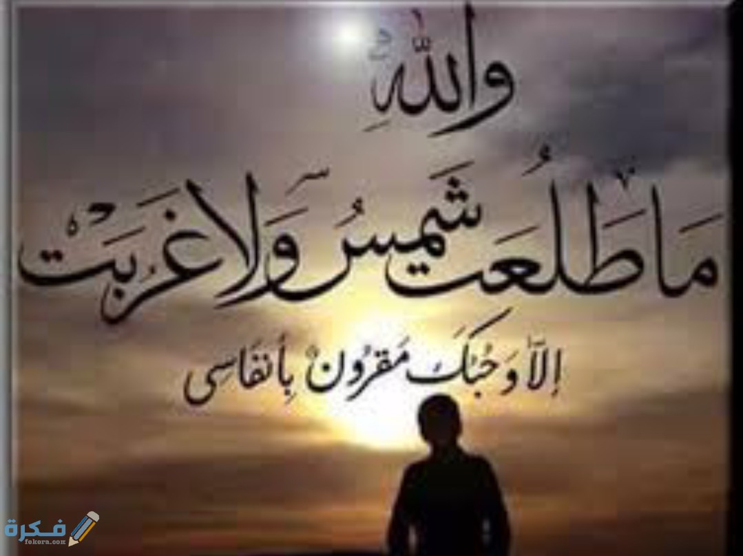 IMG ٢٠٢٠٠٥٠٨ ١٣١٢٤٩