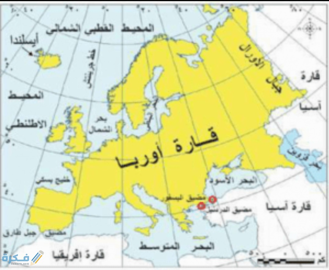 IMG ٢٠٢٠٠٥١٠ ١٦٠٤٤٩