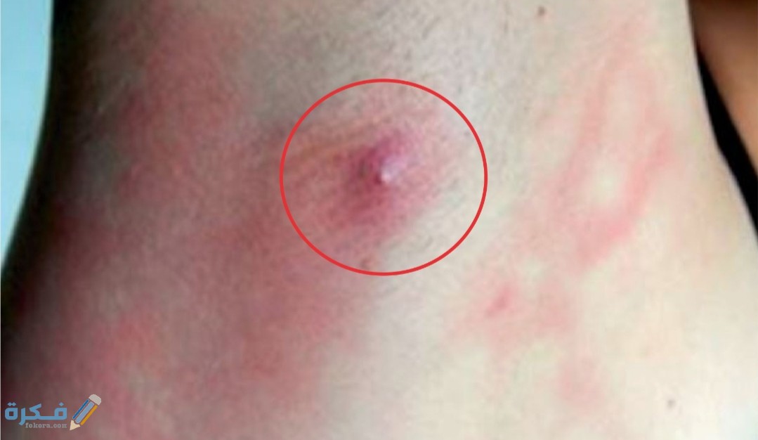 IMG ٢٠٢٠٠٥١٥ ١٦٠٠٠٠