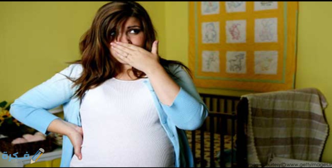 IMG ٢٠٢٠٠٥١٧ ١٥١٠١٢