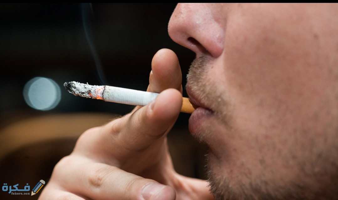 IMG ٢٠٢٠٠٥١٧ ١٥٢٧٠١