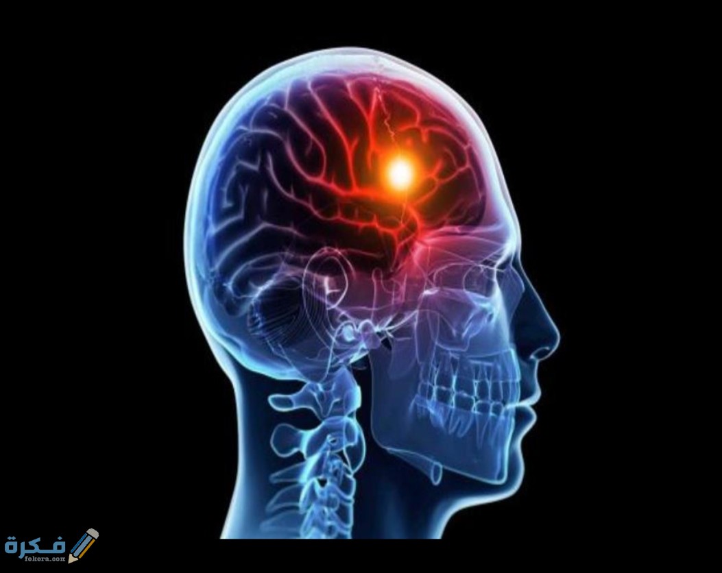 IMG ٢٠٢٠٠٥١٧ ٢٣١٤٠٠