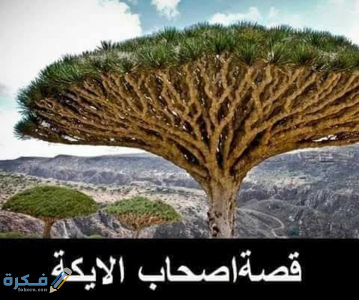 IMG ٢٠٢٠٠٥١٩ ٠٣٠٥٢٠