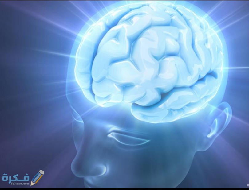 IMG ٢٠٢٠٠٥١٩ ١١٠١٣٧